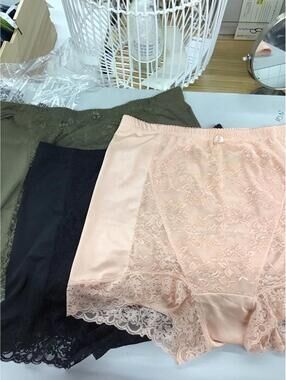 Rhonda shear pin up briefs 3 pack size 3X new HSN ruched high rise lace